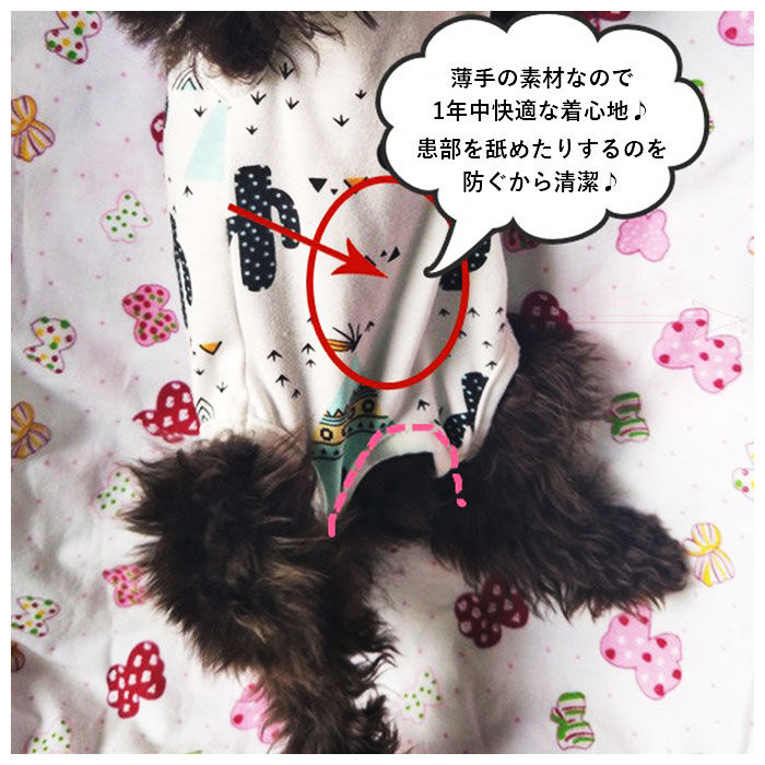 BACKYARD FAMILY「犬 術後服 通販 男 女 エリザベスカラー 代替 猫 ネコ ねこ いぬ イヌ 犬用 猫用」|その他|