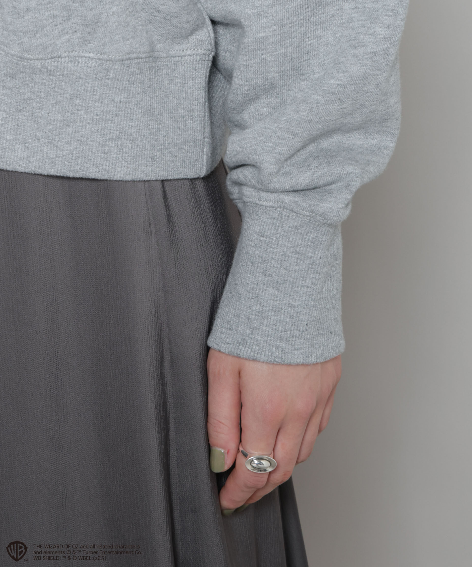 nano･universe「THE WIZARD OF OZ 刺繍スウェットトップス」|Tシャツ・カットソー|