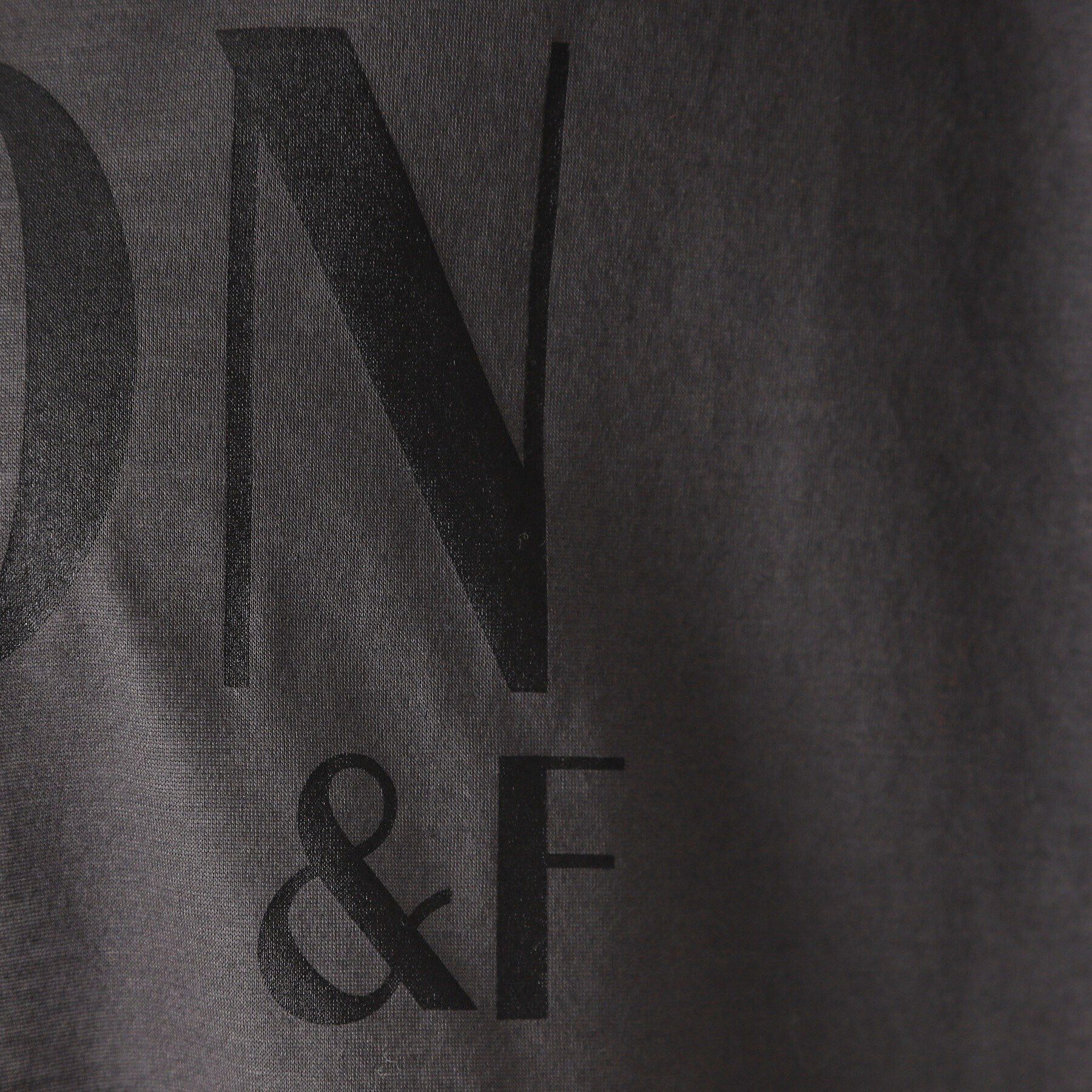 DRESSTERIOR「【接触冷感/洗える】シアーメゾンロゴロンTEE」|Tシャツ・カットソー|