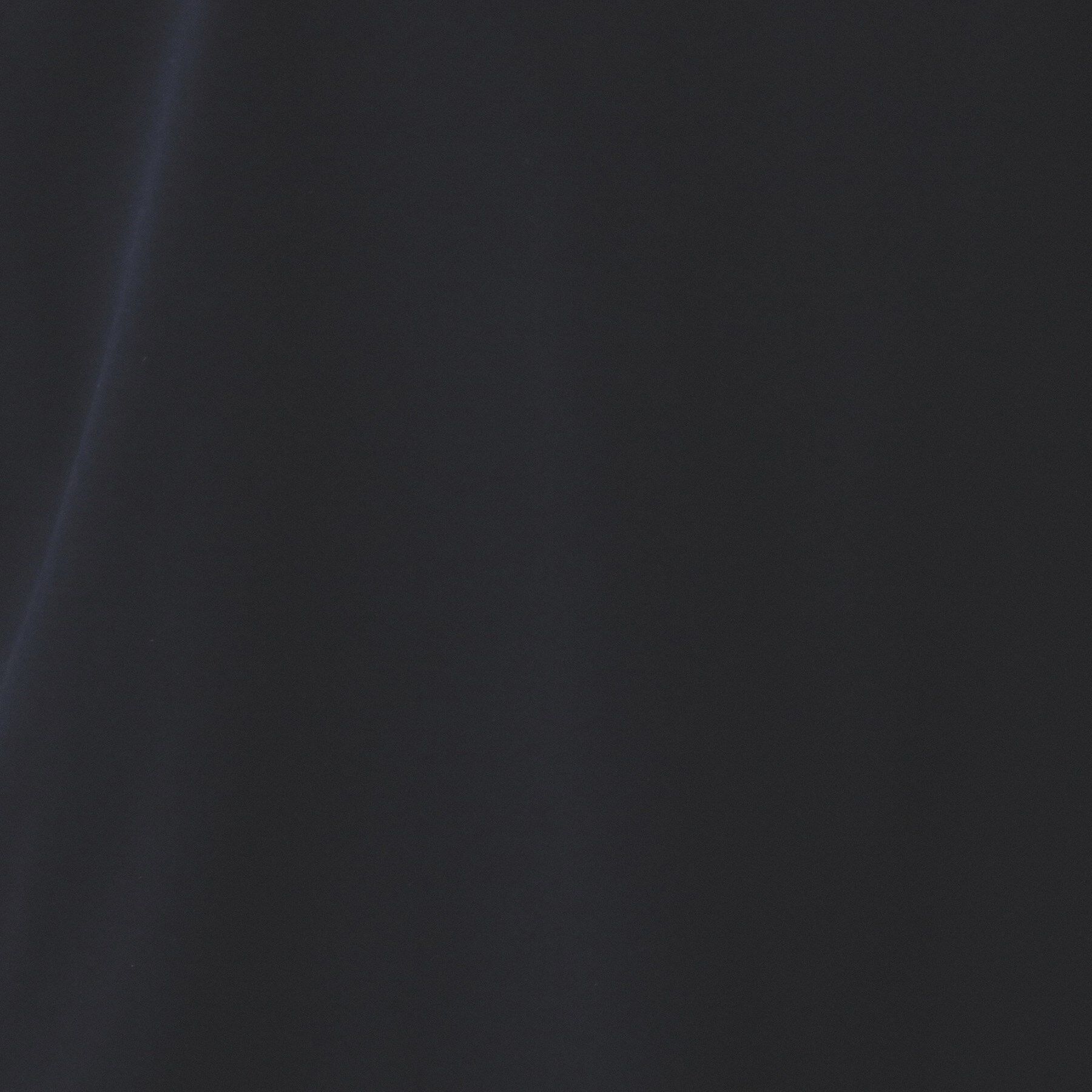 index「《S-3Lサイズ》サイドパール調ボタンボクシートップス【洗濯機洗い可/UVケア/接触冷感】」|Tシャツ・カットソー|