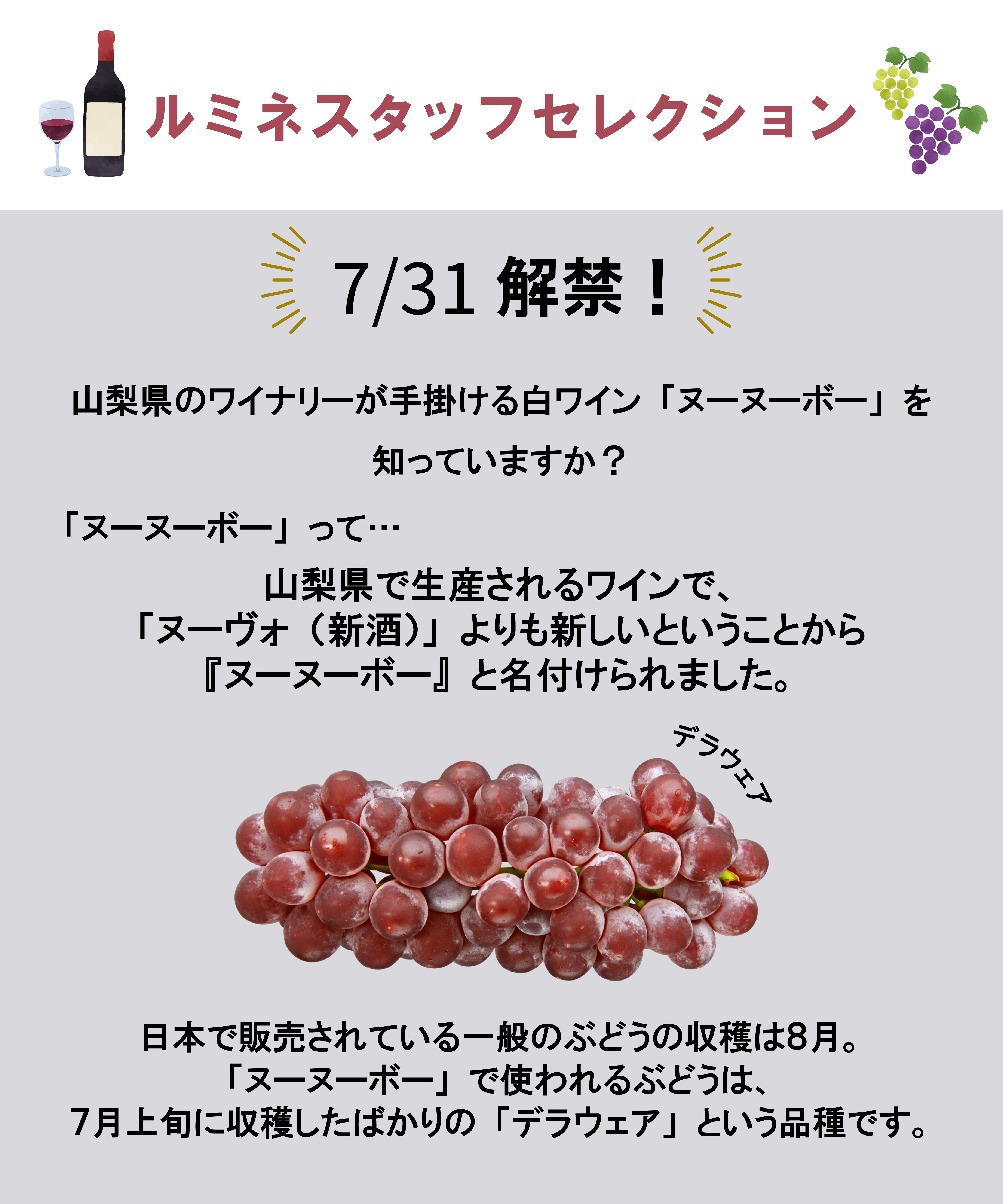 LUMINE AGRI SHOP「【新酒＆にごり】デラウェア飲み比べセット」|ワイン|