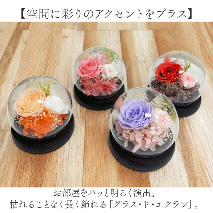 BACKYARD FAMILY「ブリザードフラワ- 通販 フラワーギフト ガラス製 フラワーアレンジメント ガラスドーム お花 花」|その他|