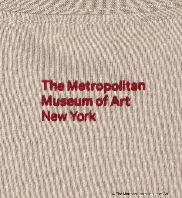 SHIPS Colors 「SHIPS Colors:The Met コラボ フロッキー ロゴ Tシャツ 2」|Tシャツ・カットソー|