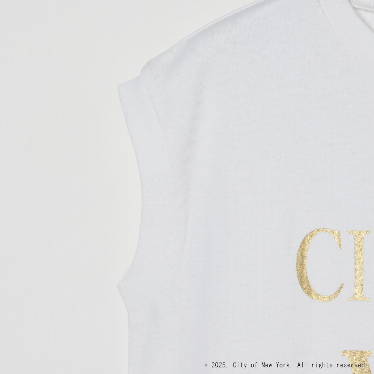  「GOOD ROCK SPEED NYC METALLIC PRINT NS」|Tシャツ・カットソー|