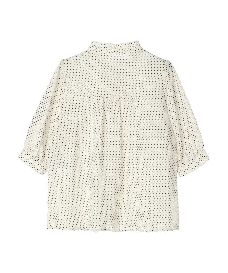 earth music&ecology「ピンタックフリルブラウス」|シャツ・ブラウス|