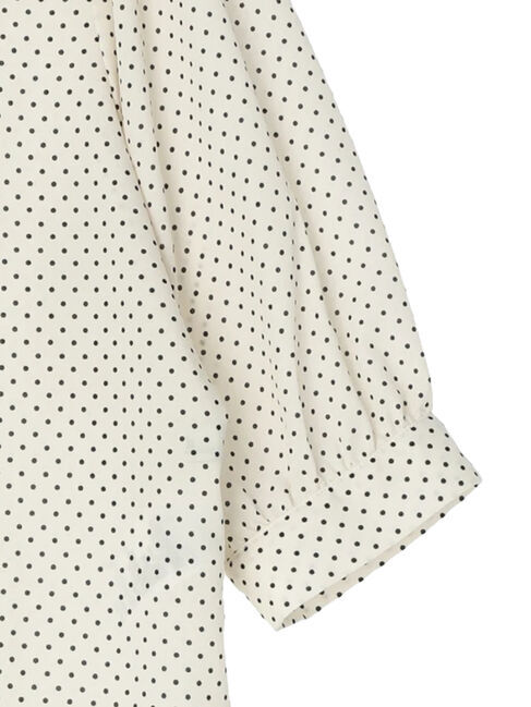 earth music&ecology「ピンタックフリルブラウス」|シャツ・ブラウス|