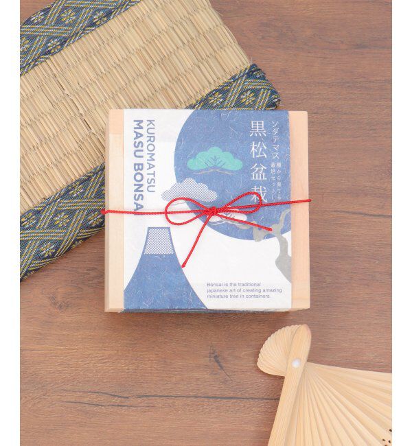 Lbc with Life「ソダテマス 盆栽栽培セット 黒松」|その他|ネイビーブルー