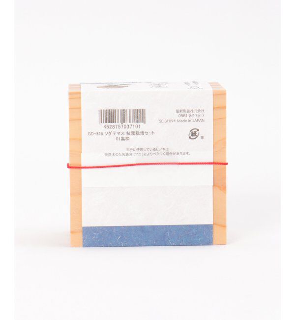 Lbc with Life「ソダテマス 盆栽栽培セット 黒松」|その他|