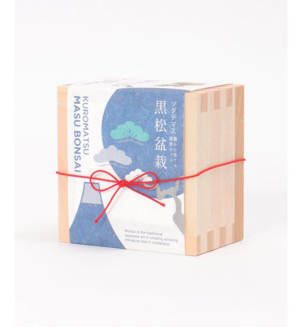 Lbc with Life「ソダテマス 盆栽栽培セット 黒松」|その他|