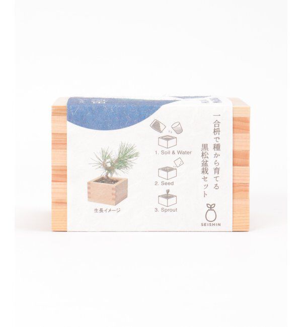 Lbc with Life「ソダテマス 盆栽栽培セット 黒松」|その他|