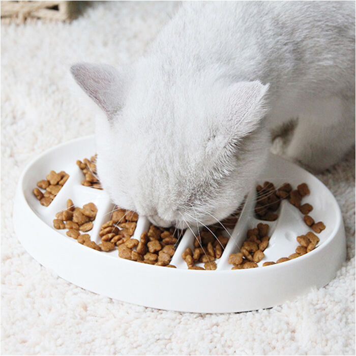 BACKYARD FAMILY「フードボール ペット 早食い防止 通販 ペットボウル スローフード ペットフード」|その他|