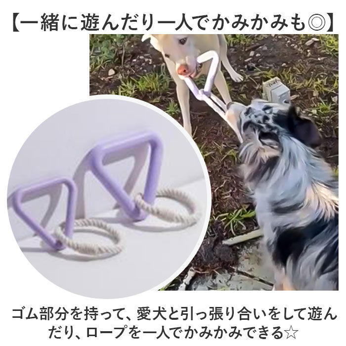 BACKYARD FAMILY「犬 おもちゃ ロープ ?むおもちゃ 通販 噛む玩具 玩具 オモチャ ?むオモチャ 犬用玩具」|その他|