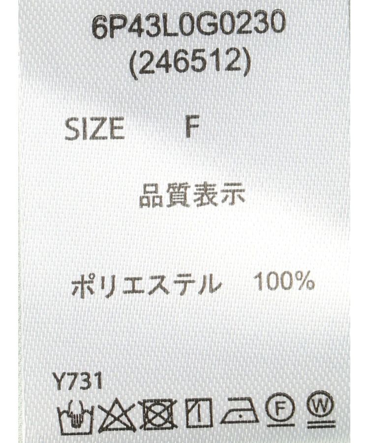 Green Parks「・ELENCARE　DUEオーガンジーノースリチュニック」|チュニック|