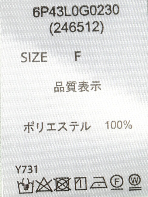 Green Parks「・ELENCARE　DUEオーガンジーノースリチュニック」|チュニック|