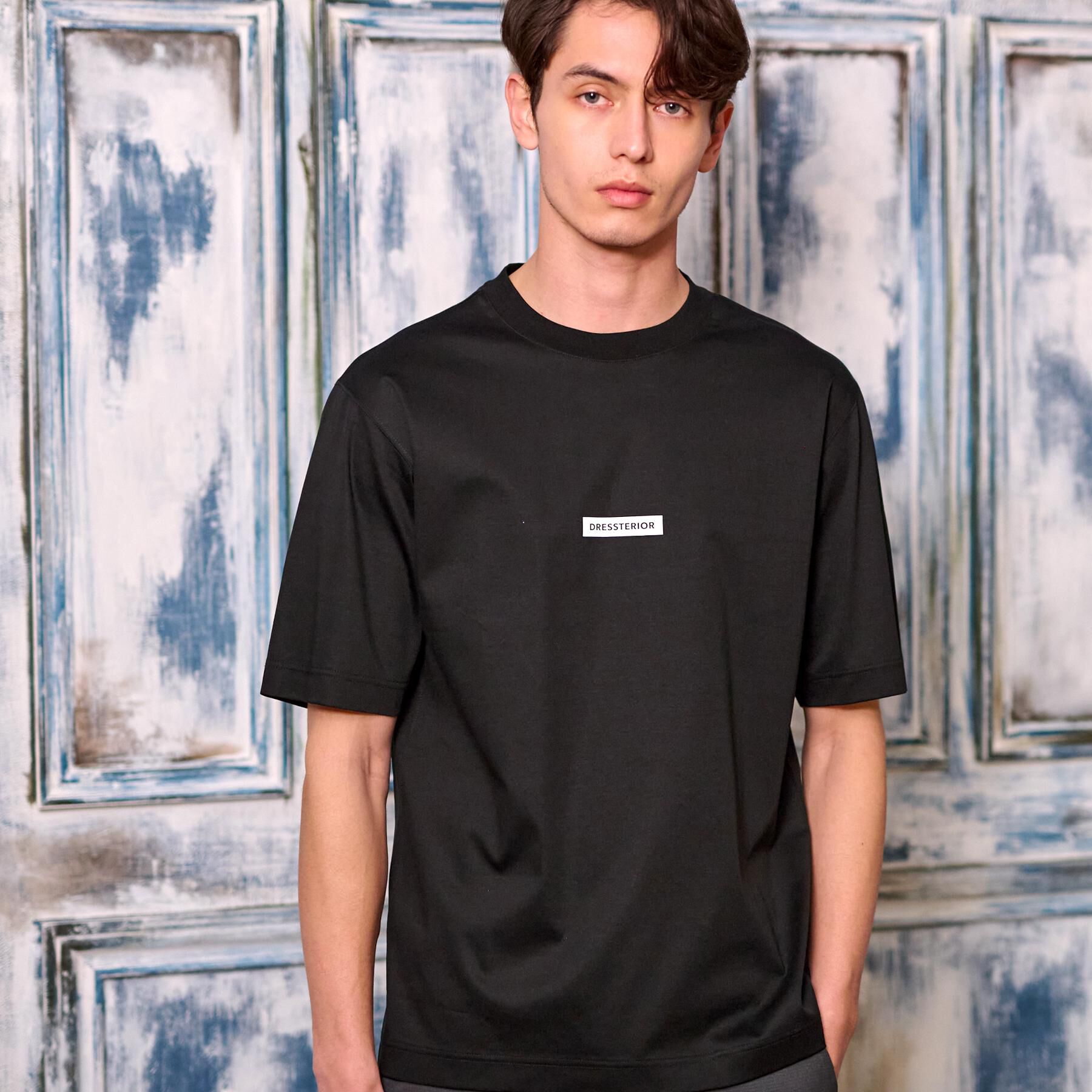 DRESSTERIOR「【接触冷感／抗菌防臭／消臭】ICE CLEAR COTTON NINEストリートTシャツ」|Tシャツ・カットソー|