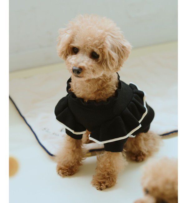 ROPE PICNIC PASSAGE「【DOG】マシュマロフリルニット/リンクコーデ」|その他|ブラック(01)