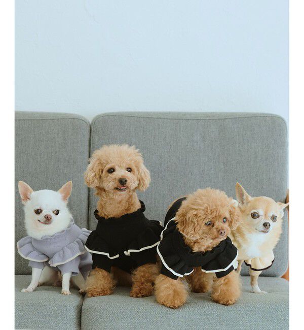 ROPE PICNIC PASSAGE「【DOG】マシュマロフリルニット/リンクコーデ」|その他|