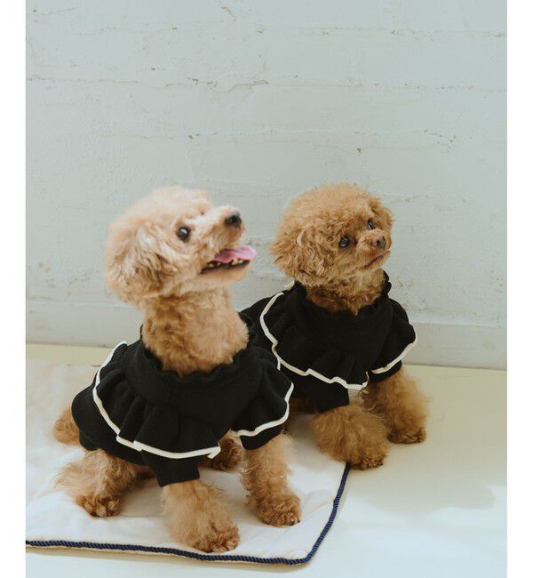 ROPE PICNIC PASSAGE「【DOG】マシュマロフリルニット/リンクコーデ」|その他|