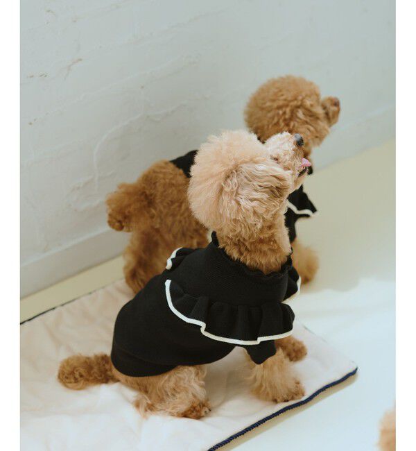 ROPE PICNIC PASSAGE「【DOG】マシュマロフリルニット/リンクコーデ」|その他|