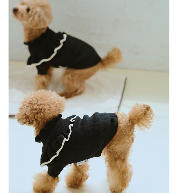 ROPE PICNIC PASSAGE「【DOG】マシュマロフリルニット/リンクコーデ」|その他|