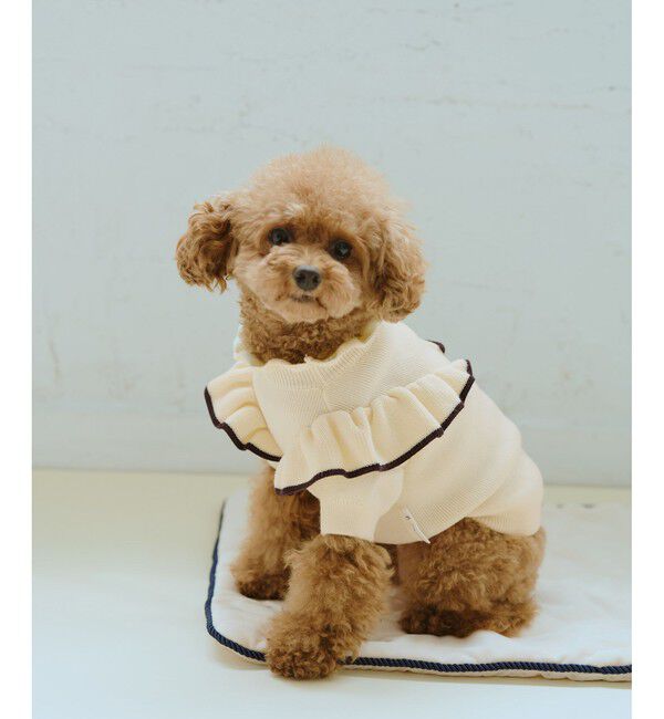 ROPE PICNIC PASSAGE「【DOG】マシュマロフリルニット/リンクコーデ」|その他|