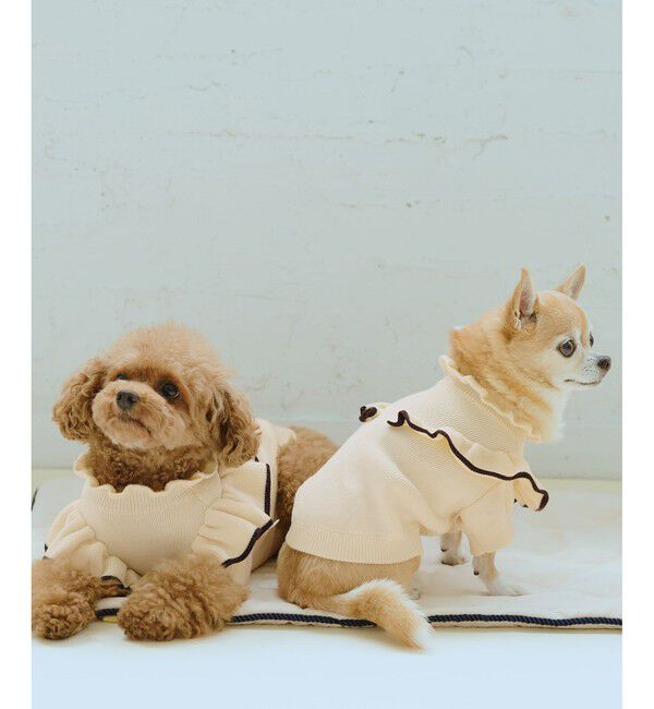 ROPE PICNIC PASSAGE「【DOG】マシュマロフリルニット/リンクコーデ」|その他|