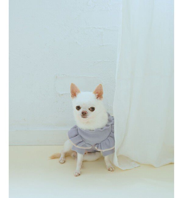 ROPE PICNIC PASSAGE「【DOG】マシュマロフリルニット/リンクコーデ」|その他|