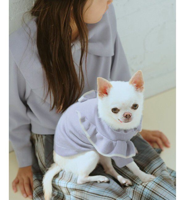 ROPE PICNIC PASSAGE「【DOG】マシュマロフリルニット/リンクコーデ」|その他|サックス(48)