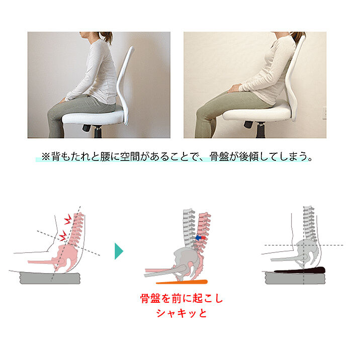 BACKYARD FAMILY「ドクターエルクッション 通販 マルチレスト 傾斜 6&deg; 背もたれ リラックス 腰 姿勢 座布団」|クッション・クッションカバー|