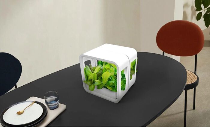 BACKYARD FAMILY「水耕栽培キット 通販 水耕栽培 野菜栽培 家庭菜園 屋内用水耕栽培キット 自動水やり 室内菜園」|その他|