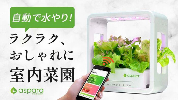 BACKYARD FAMILY「水耕栽培キット 通販 水耕栽培 野菜栽培 家庭菜園 屋内用水耕栽培キット 自動水やり 室内菜園」|その他|