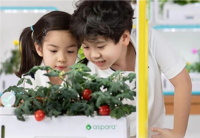 BACKYARD FAMILY「水耕栽培キット 通販 水耕栽培 野菜栽培 家庭菜園 屋内用水耕栽培キット 自動水やり 室内菜園」|その他|