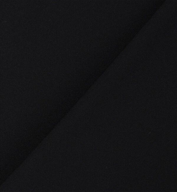 SHIPS「【WEB限定】SHIPS:〈撥水〉SOLOTEX(R) マイクロ SHIPSロゴ プルオーバーシャツ」|Tシャツ・カットソー|