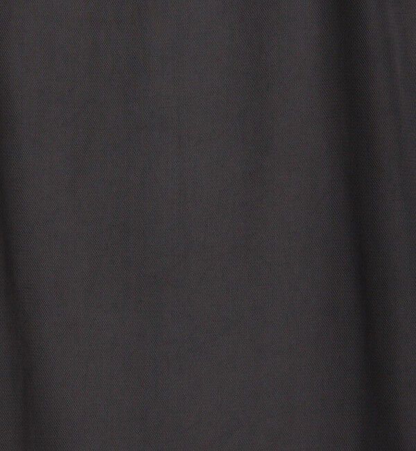 GALERIE VIE「シルキートリコチン Aラインスカート」|スカート|