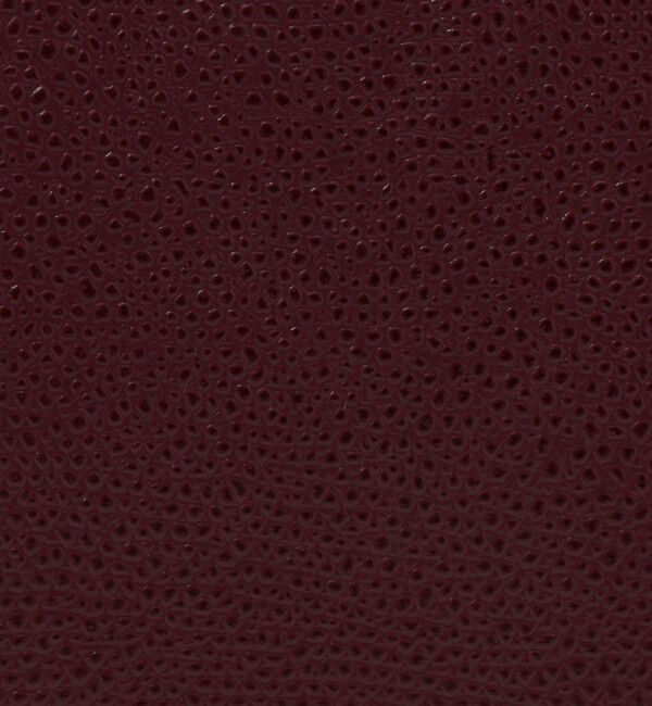 TOMORROWLAND GOODS「CARBOTTI  NEW LADY バッグ」|ハンドバッグ|