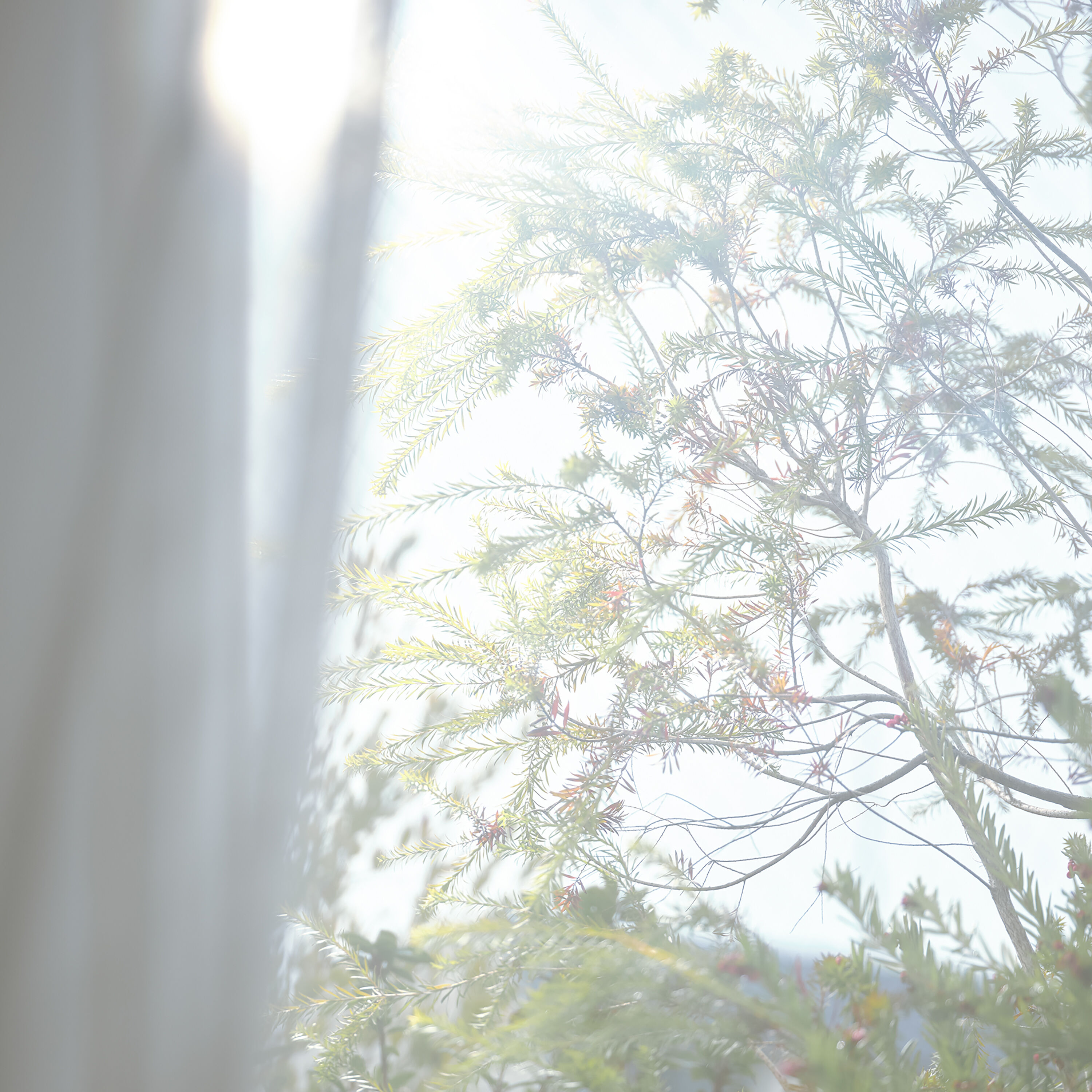 アットアロマ「スキンオンフレグランス モーニングデュー」|アロマ・ルームフレグランス|