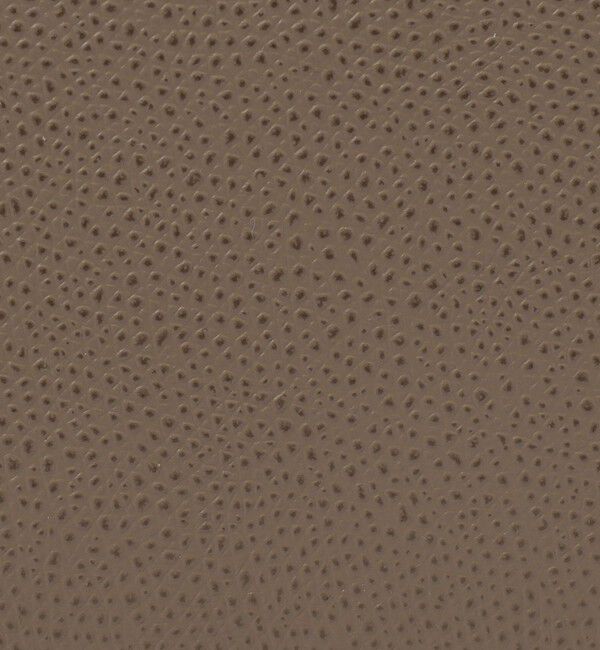 TOMORROWLAND GOODS「CARBOTTI  DIANA バッグ」|ハンドバッグ|