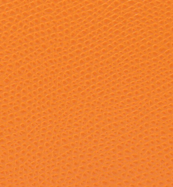 TOMORROWLAND GOODS「CARBOTTI LICIA バッグ」|ハンドバッグ|