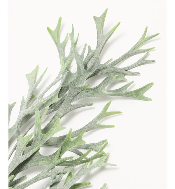 journal standard Furniture「【Brown./ブラウン】ビカクシダ ハンギングブッシュブルー　フェイクグリーン」|その他|