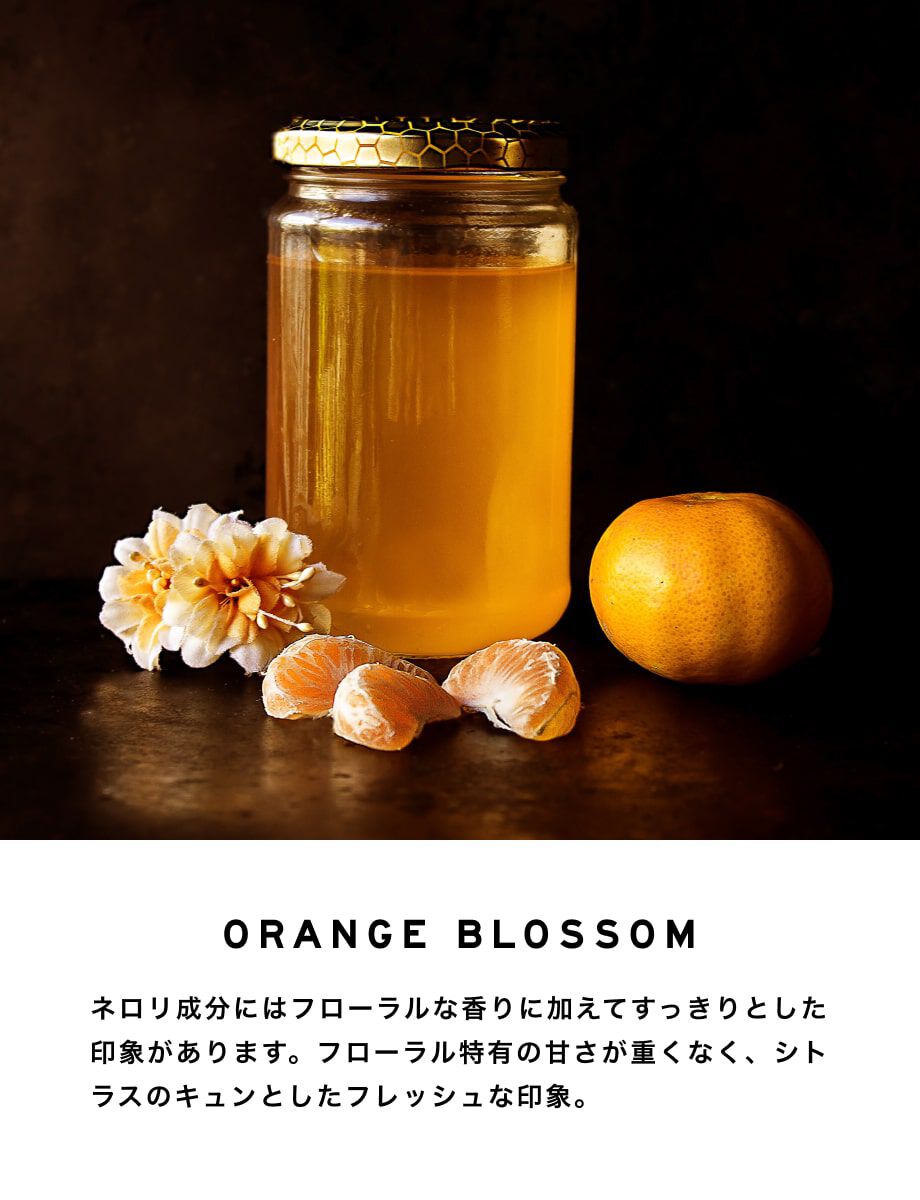 SHOLAYERED「レイヤードフレグランス ディフューザー 100ml」|香水・フレグランス|