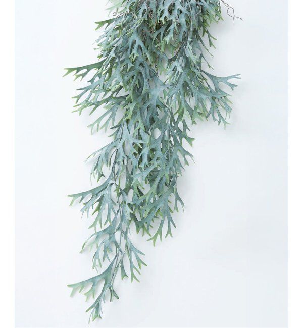 journal standard Furniture「【Brown./ブラウン】ビカクシダ ハンギングブッシュブルー　フェイクグリーン」|その他|