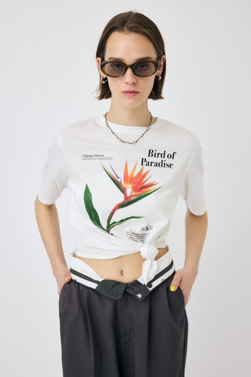 MOUSSY「ASYMMETRY フラワー TEE」|Tシャツ・カットソー|WHT