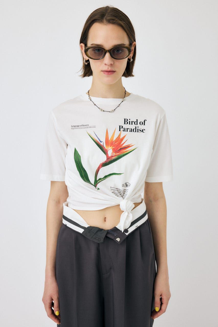 MOUSSY「ASYMMETRY フラワー TEE」|Tシャツ・カットソー|
