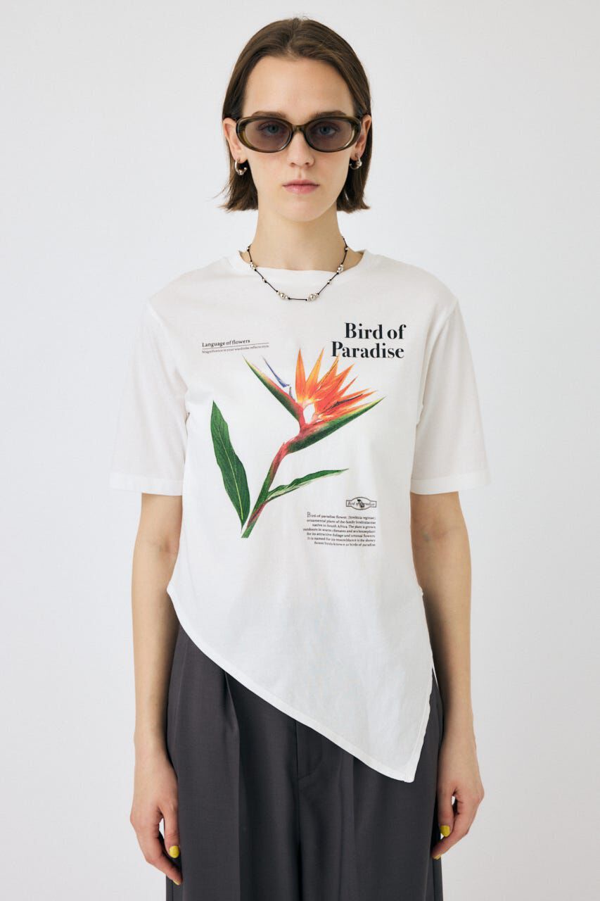 MOUSSY「ASYMMETRY フラワー TEE」|Tシャツ・カットソー|