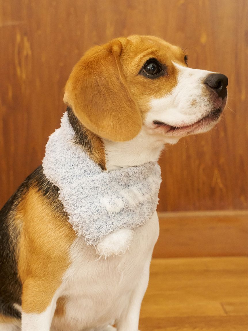  GELATO PIQUE CAT&DOG「【CAT&DOG】ジェラートメランジマフラー」|その他|