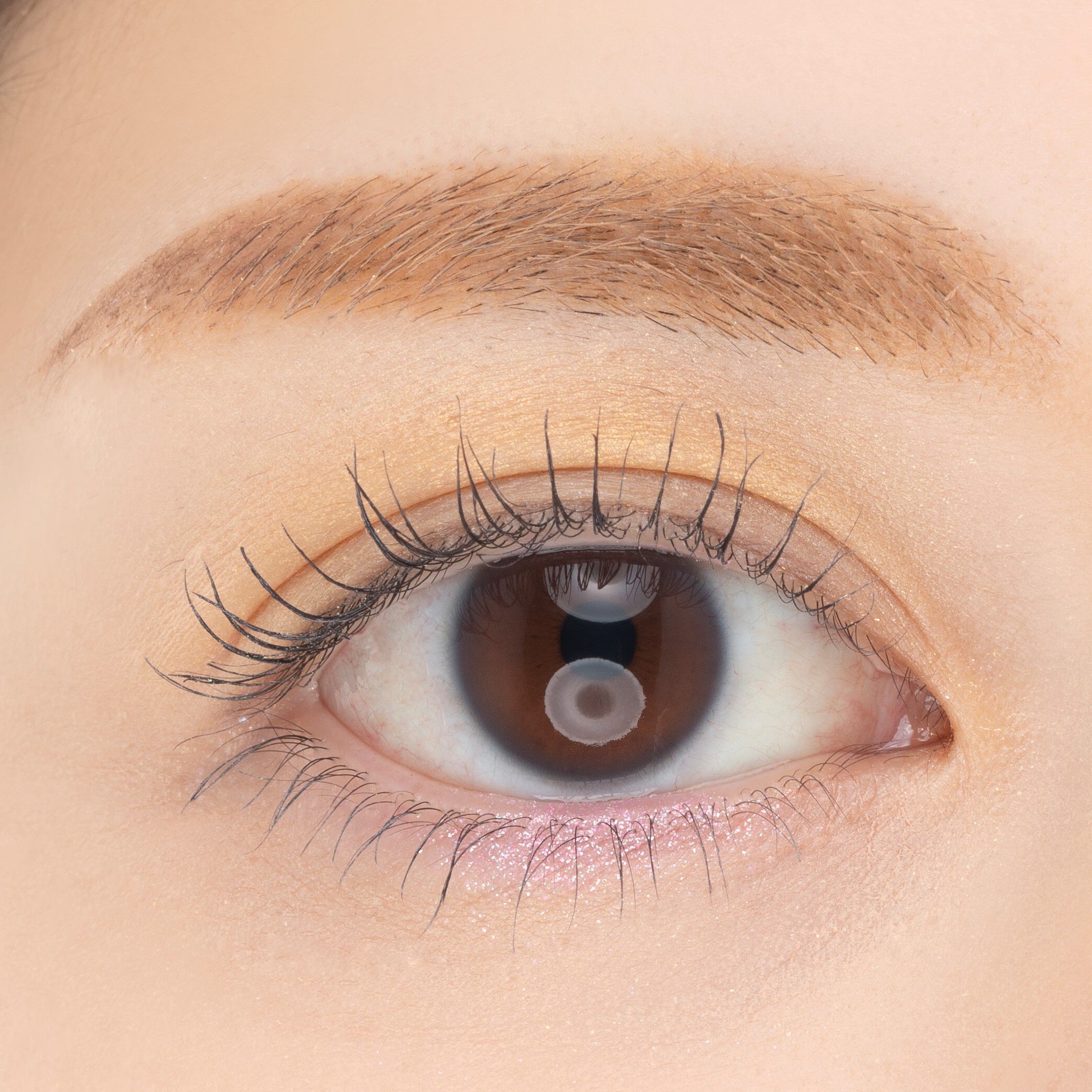 PAUL&JOE「ポール & ジョー アイデザインパレット ０６「ステンドグラス」」|アイシャドウ|