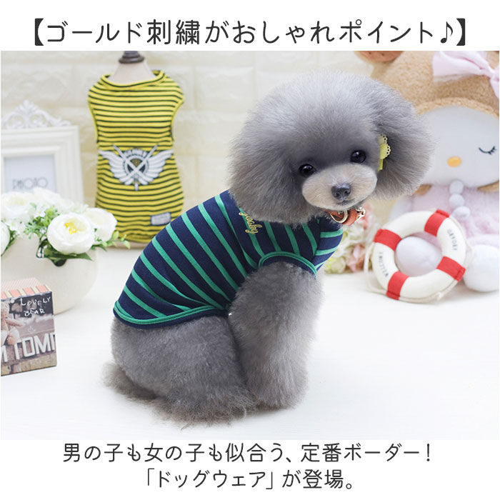 BACKYARD FAMILY「犬服 小型犬 タンクトップ 通販 犬の服 犬 いぬ 服 動きやすい 夏服 春 夏 ボーダー 春夏」|その他|