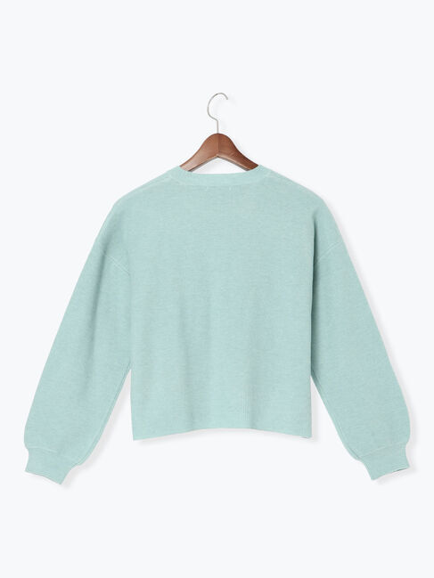 Te chichi TERRASSE「もちもちミラノリブクロップドクルーネックニット」|ニット・セーター|