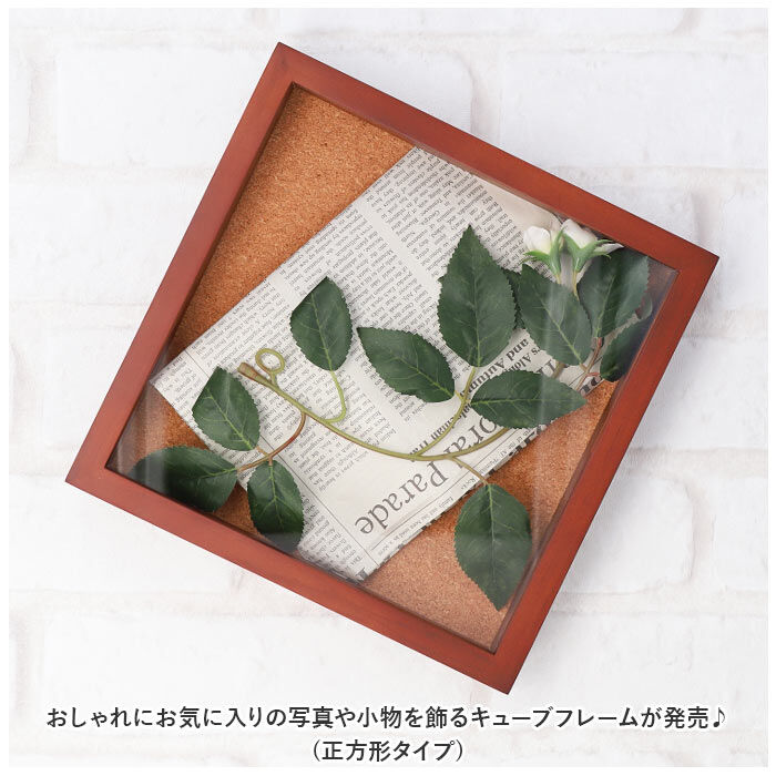BACKYARD FAMILY「ボックスフレーム 立体額 通販 キューブフレーム 木製 壁掛け 置き型 ボックス コレクション」|その他|