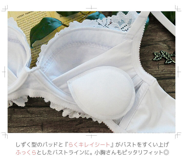 intesucre「アンテシュクレ らくしてキレイ ブラセット B-F/65-75 IBN365」|インナー|